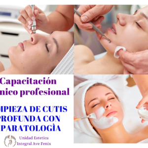 Capacitación Técnico Profesional en Limpieza De Cutis Facial Profunda Con Aparatología